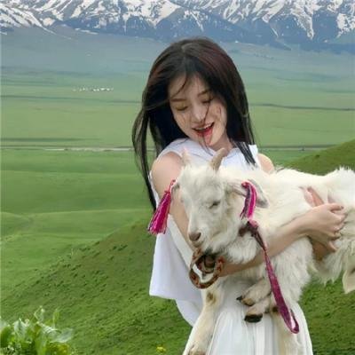 生命的圆圈